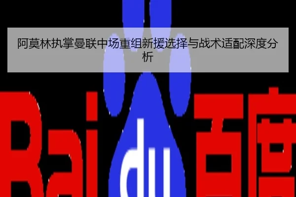 阿莫林执掌曼联中场重组新援选择与战术适配深度分析